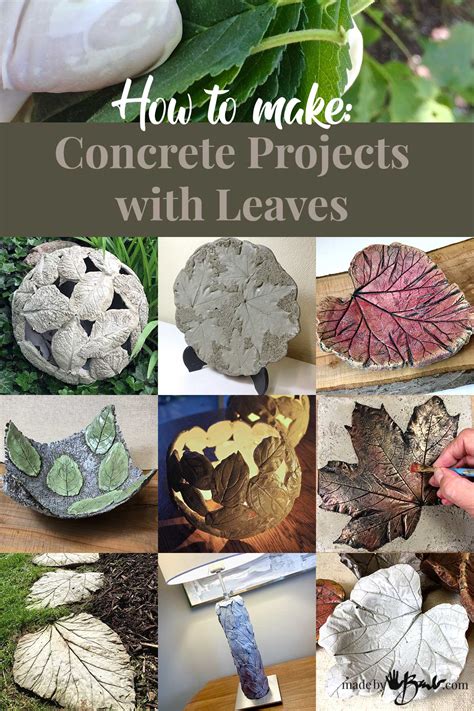 How To Make Concrete Projects With Leaves Made By Barb Craft