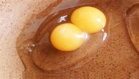 Weird Eggs Explained Dine A Chook