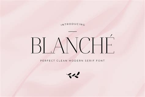 Blanche Vintage Modern Serif Serif Fonts Creative Market