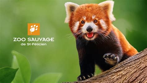 Zoo Sauvage De St Félicien Coupons Rabais Passeport Vacances