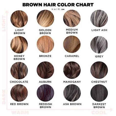 Shades Of Brown The Ultimate Brunette Hair Color Chart Cril Cafe