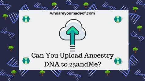 Can You Upload Ancestry DNA to 23andMe? - Who are You Made Of?