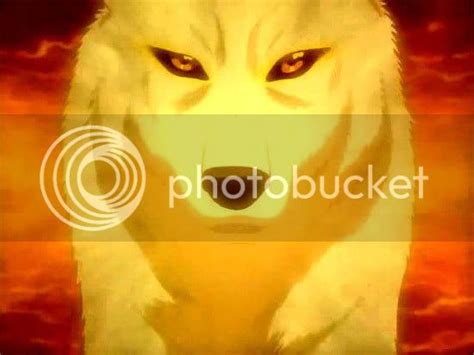 Golden Wolf Photo By Weatherking193 Photobucket