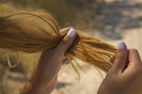 Cómo reparar el pelo quemado Salud