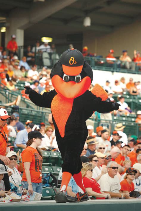 Inside Spring Training With The Baltimore Orioles Mascot Sarasota