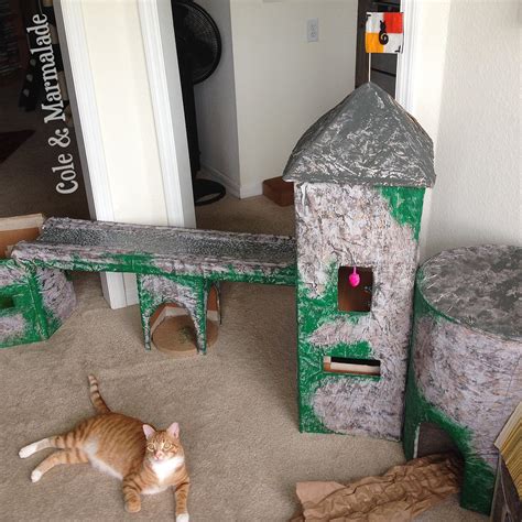Cole And Marmalade On Twitter That Time We Made An Epic Cat Castle