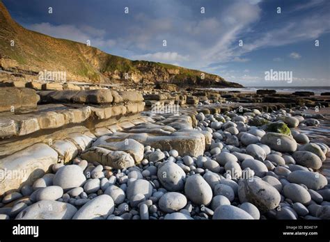 Limestone Rock Ledges And Witches Point At Dunraven Bay Southerndown