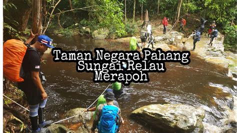 Taman Negara Pahang Sungai Relau Santuari Ikan Kelah Malaysia Kelah Merah Santuari Youtube