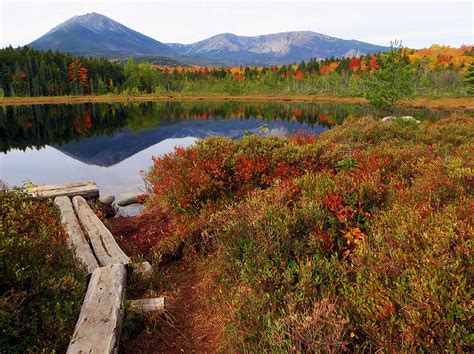 Katahdin Foliage From Martins Pond Photograph By Tim Canwell Pixels