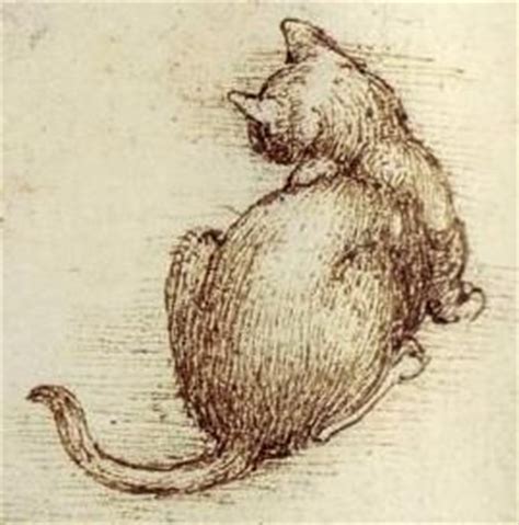 Leonardo da vinci was an italian polymath and is considered as the greatest genius ever born in this world. Leonardo Da Vinci: Cats Drawings and 6 Quotes