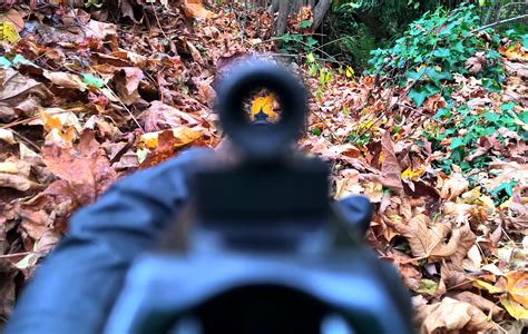 Gun Review Henry Repeating Arms Small Game Carbine 22