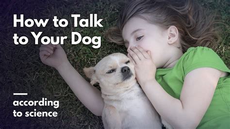 Top 29 How Do You Say Hello In Dog Language Lastest Updates 102022
