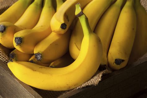 Les bananes pourraient bientôt disparaître des épiceries UNE POMME
