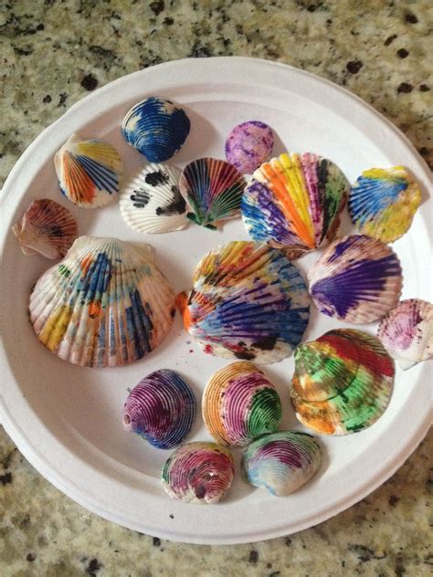 Colorful Seashell Crafts For Kids