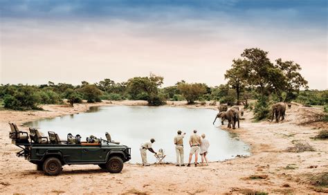 South Africa Safari Kruger National Park Safari Forth And Wonder