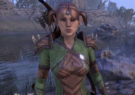 The Best Race For Warden Class In Eso High Ground Gaming