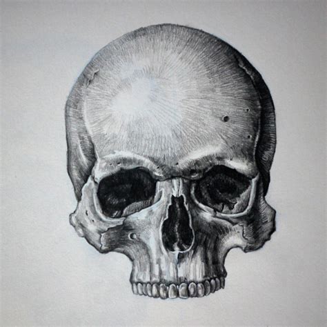 Realistic Skull Drawing At Explore Collection Of