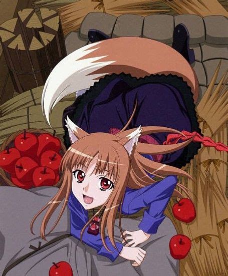 holo the wise wolf looks like a fox spice and wolf anime wolf spice and wolf holo
