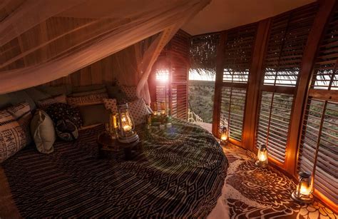 This Giant Birds Nest Is Actually A Very Luxurious Safari Lodge Where