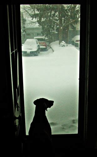 Check spelling or type a new query. Cabin Fever Toronto Style: Sophie; Saturday Morning | Flickr