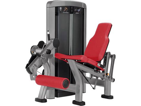 Best Used Life Fitness Insignia Series Seated Leg Curl Cheap