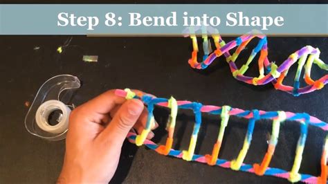 How To Make A Dna Model Using Pipecleaners Project Demonstration