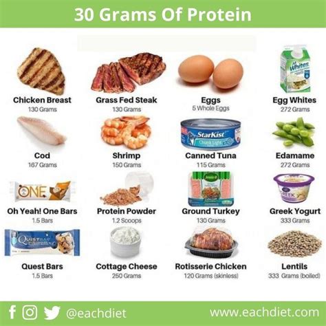 High Protein Diet Eachdiet High Protein Diet Recipes High Protein Diet High Protein Low