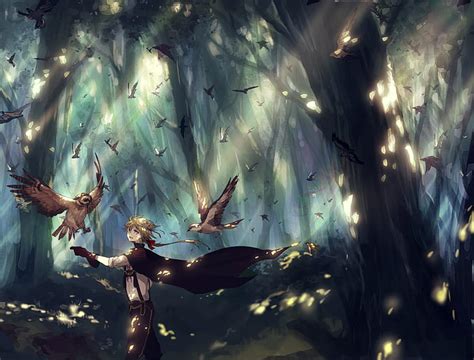 1920x1200px Free Download Hd Wallpaper Anime Boy Birds Forest