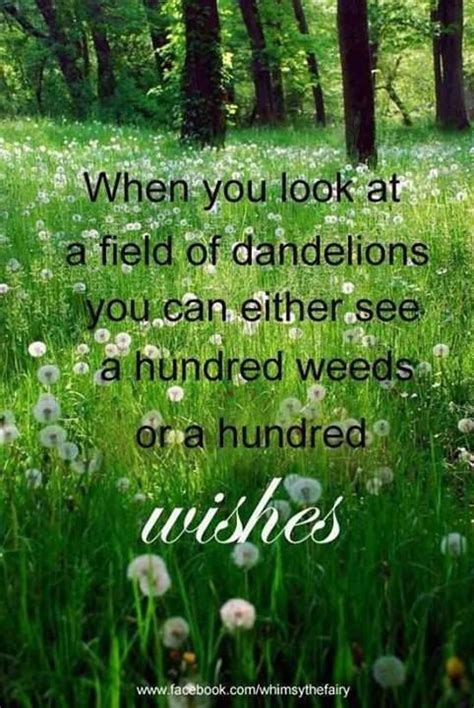 When You Look At A Field Of Dandelions You Can Either See A Hundred