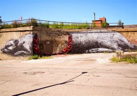 Street Art Environmental Issues By Roa Street Art Utopia Amazing