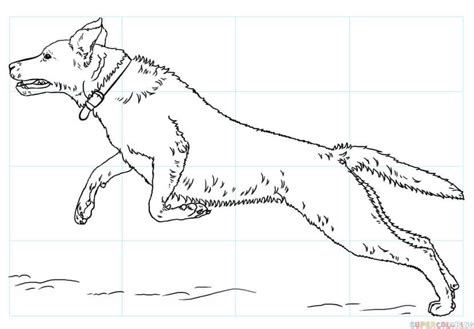 Las Mejores 185 Dibujos Para Colorear De Perros Labradores