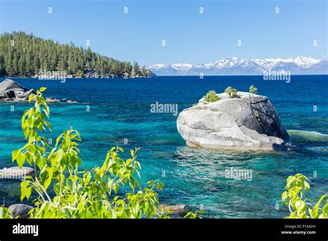 Bonsai Rock Lake Tahoe Nevada With The California Sierra Nevada