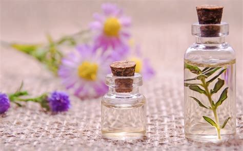 The Benefits Of Essential Oils