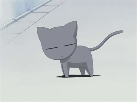 Azumanga Daioh Cat Azumanga Daioh Anime Sakaki