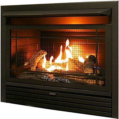 Duluth Forge Dual Fuel Ventless Insert 26 000 Btu T Stat Control Gas Fireplace Black Pricepulse