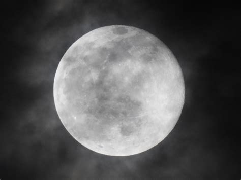 무료 이미지 검정색과 흰색 분위기 단색화 보름달 원 천문학 행사 밤마다의 달 천체 하늘과 달 야간 풍경