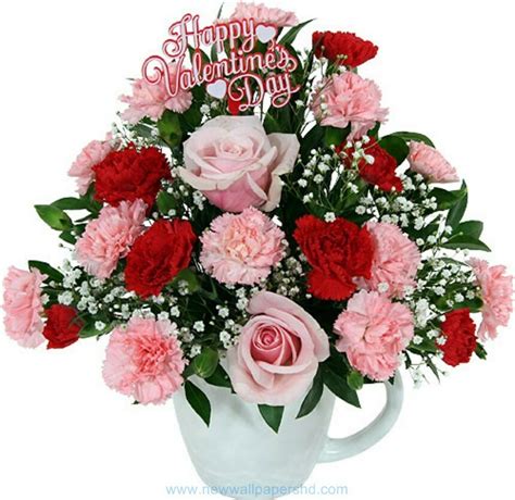Valentine Day Flowers Hd Images Photos Pics Hd Walls