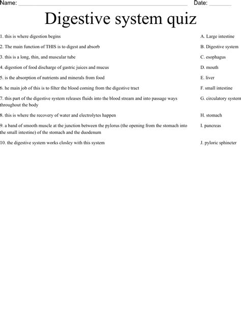 Digestive System Quiz Worksheet Wordmint