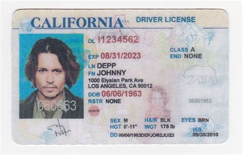 California Drivers License Drivers License Drivers License