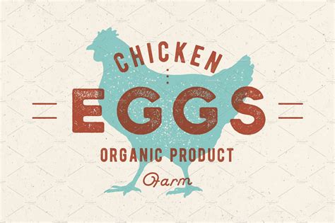 Chicken Eggs Vintage Hand Drawn Logo Vector Graphics ~ Creative Market