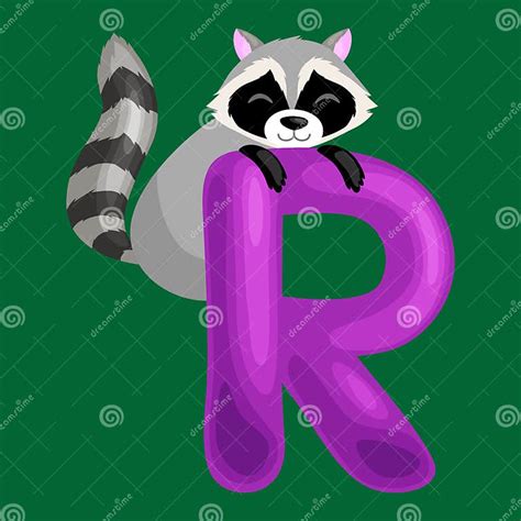 Letter R With Animal Raccoon For Kids Abc Education In Preschool Stock