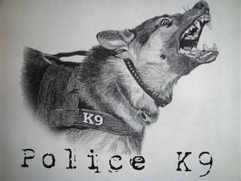 Police K9 Wallpaper Wallpapersafari