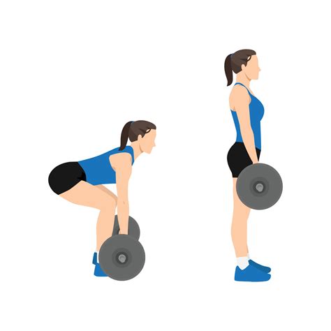 Woman Doing Barbell Deadlifts Exercise Flat Vector Illustration