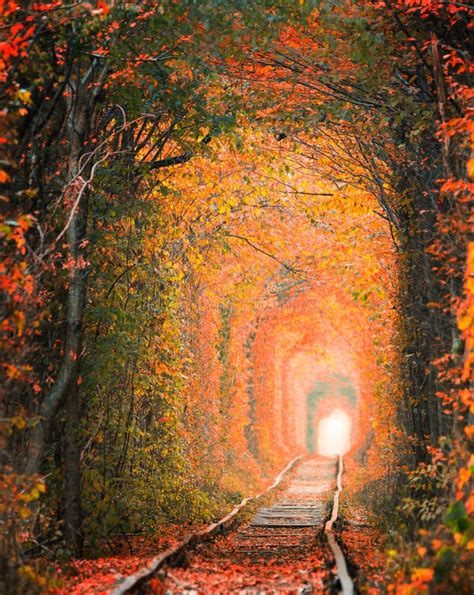 Railway In The Woods Tunnel Of Love Autumn Landscape Stock Photo