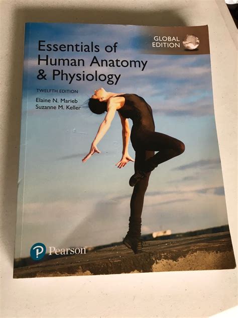 Essentials Of Human Anatomy And Physiology Marieb And Keller 12th