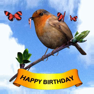 Happy Birthday Robin GIFs Get The Best GIF On GIPHY
