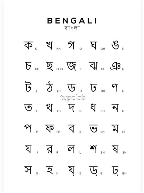 Bengali Alphabet Chart Bengali Language Chart White Poster By