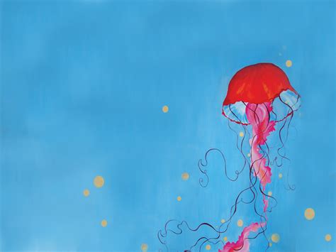 45 Colorful Jellyfish Wallpaper On Wallpapersafari
