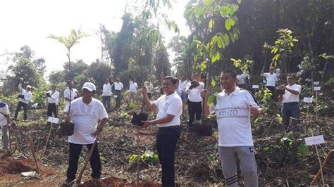 Parahnya, berdasarkan pengakuan para tersangka antigen bekas ini hanya dicuci alkohol. Hijaukan Tahura Gunung Palasari, Penanaman Pohon Dilakukan ...