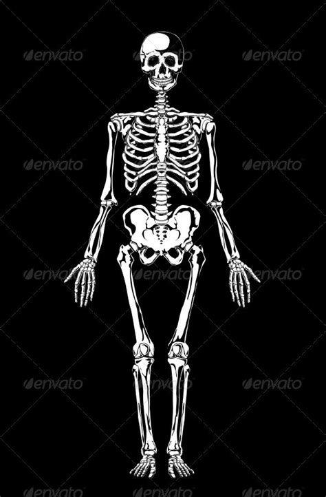 Skeleton Human Knee Skeleton Joker Drawings